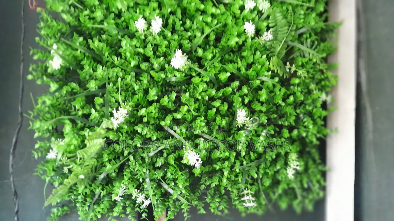 Wall Grass Panel 60cm by 40cm