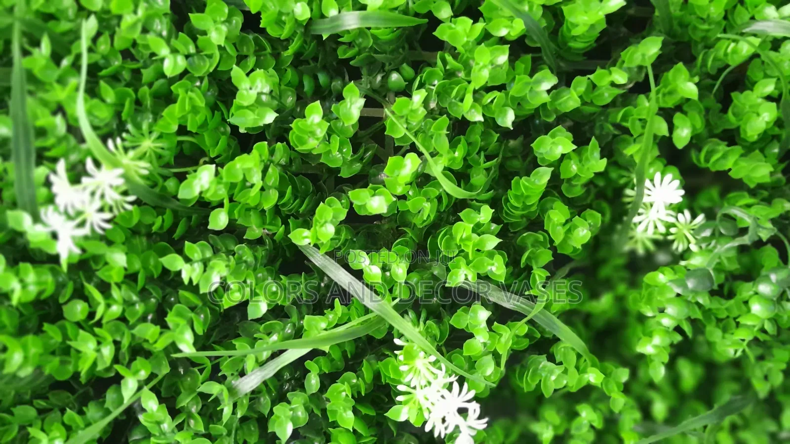 Grass Decor for Walls