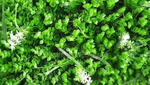 Grass Decor for Walls - thumbnail 2