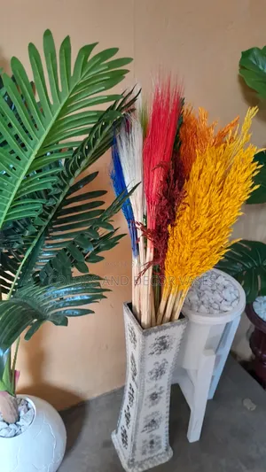 Pampas Grass 150shillings 5 Sticks