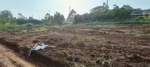 Prime 50x100ft Residential Land for Sale