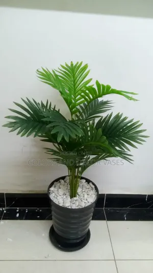 Palm Tree Vase Black and White Pebble Stones