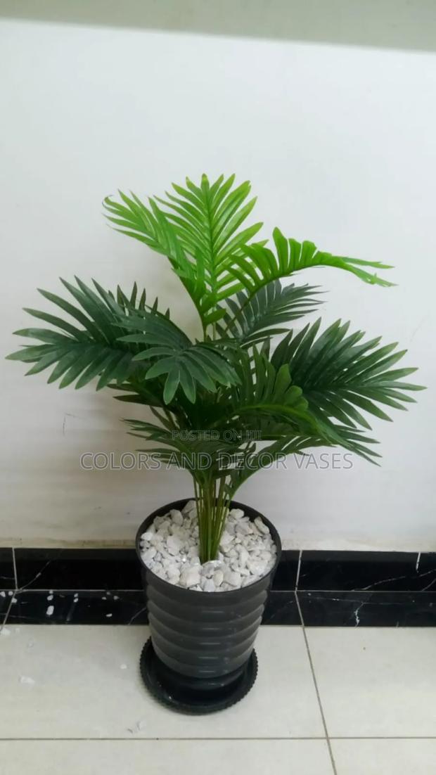 Palm Tree Vase Black and White Pebble Stones