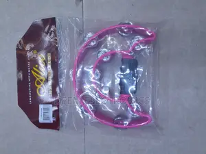 Alice Tambourine