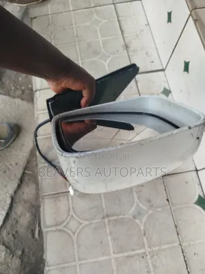 Landcruiser LC 100 Series Side Mirror