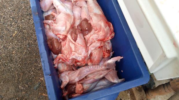 Rabbit Meat