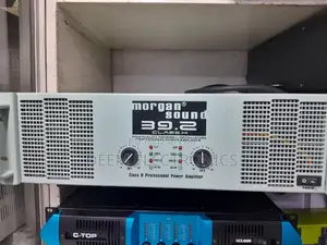 Morgan 39.2 Amplifier