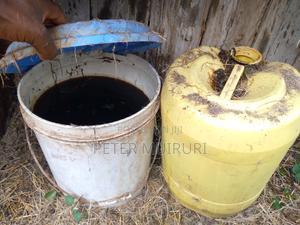 Rabbit Urine - main view