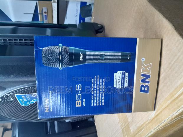 Mic Corded B5