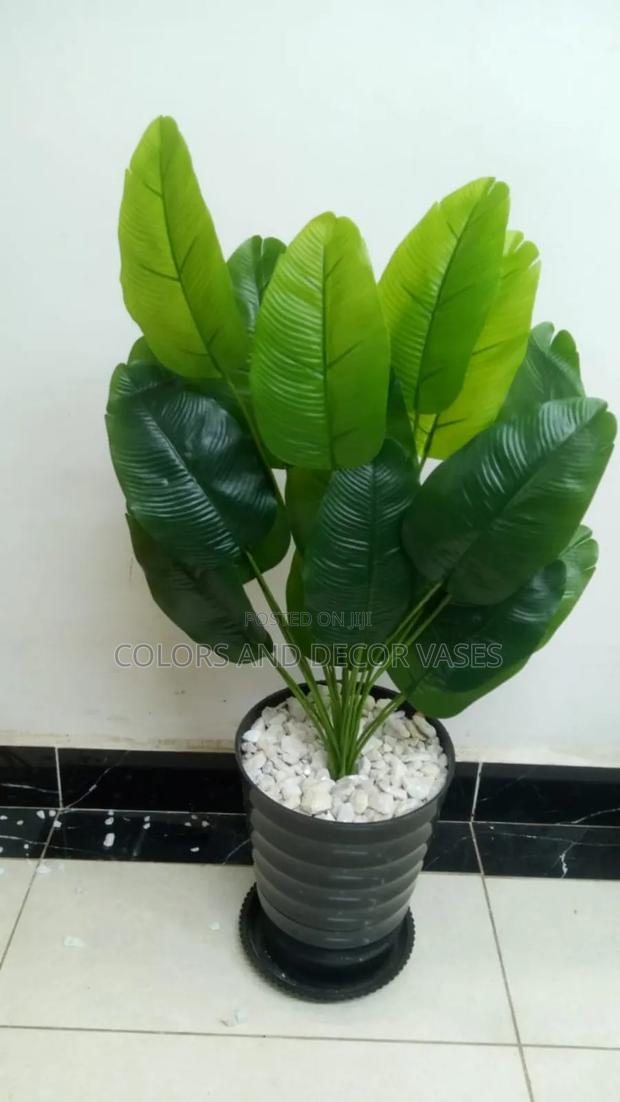 Banana Black Vase White Pebble Stones - main view