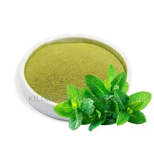 Mint Powder 500g