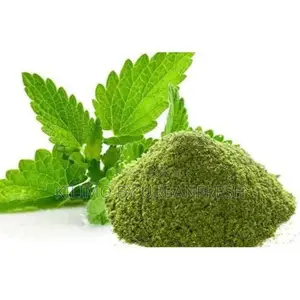 Mint Powder 250g