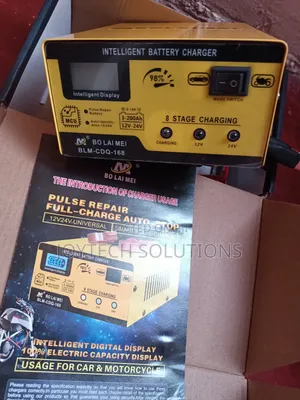New Original BLM Car Battery Charger 12-24v