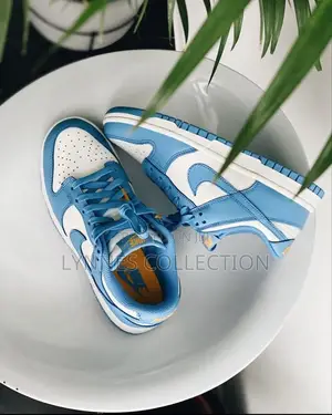 Nike Sb Low Dunk