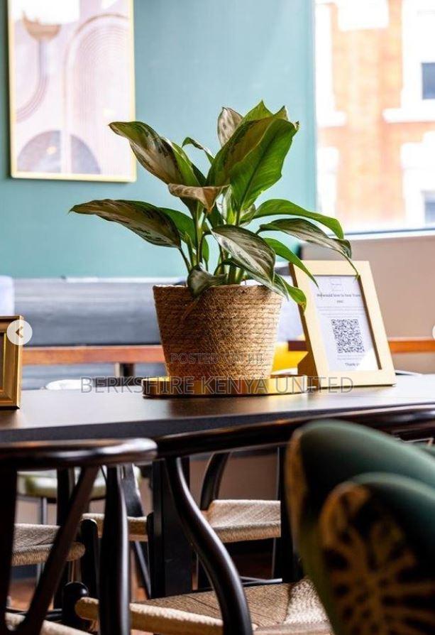 New Edge Office Spaces With Wifi - thumbnail 5