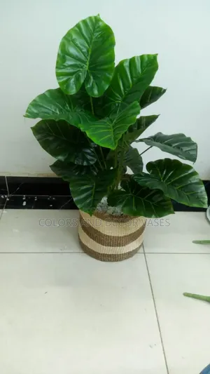 Plant Basket 80-90cm Stones