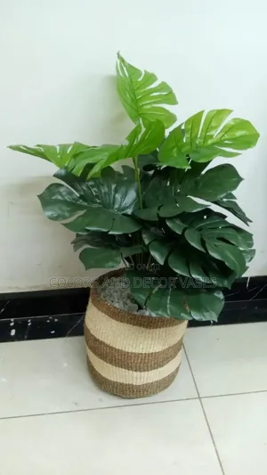 Spice Up Your Tv Entertainment Space With Artificial Plants