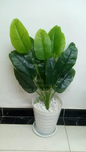 Banana Plus Plastic Vase With Pebble Stones for Home Decor