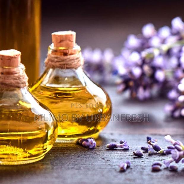 Lavender 1 LTR - main view