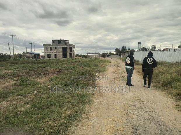 Prime Plot - thumbnail 4