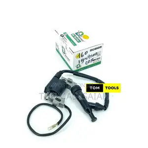 Ignition Coil Assembly for GX110 GX120 GX140 GX160 GX200 Ct2