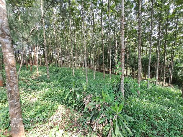 3.5 Acres Farmland With a Warehouse for Sale in Karen End