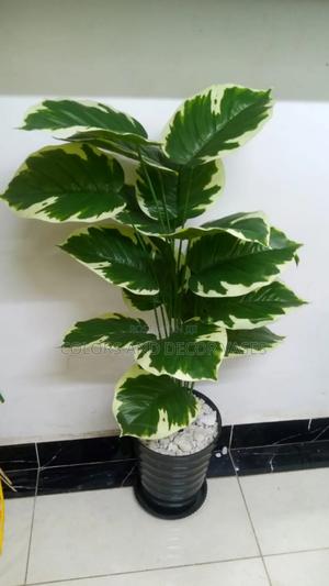 1m Plant With Calabash and Decorative Stones for Home Decor - thumbnail 2