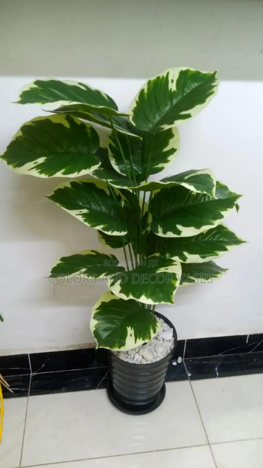 1m Plant With Calabash and Decorative Stones for Home Decor