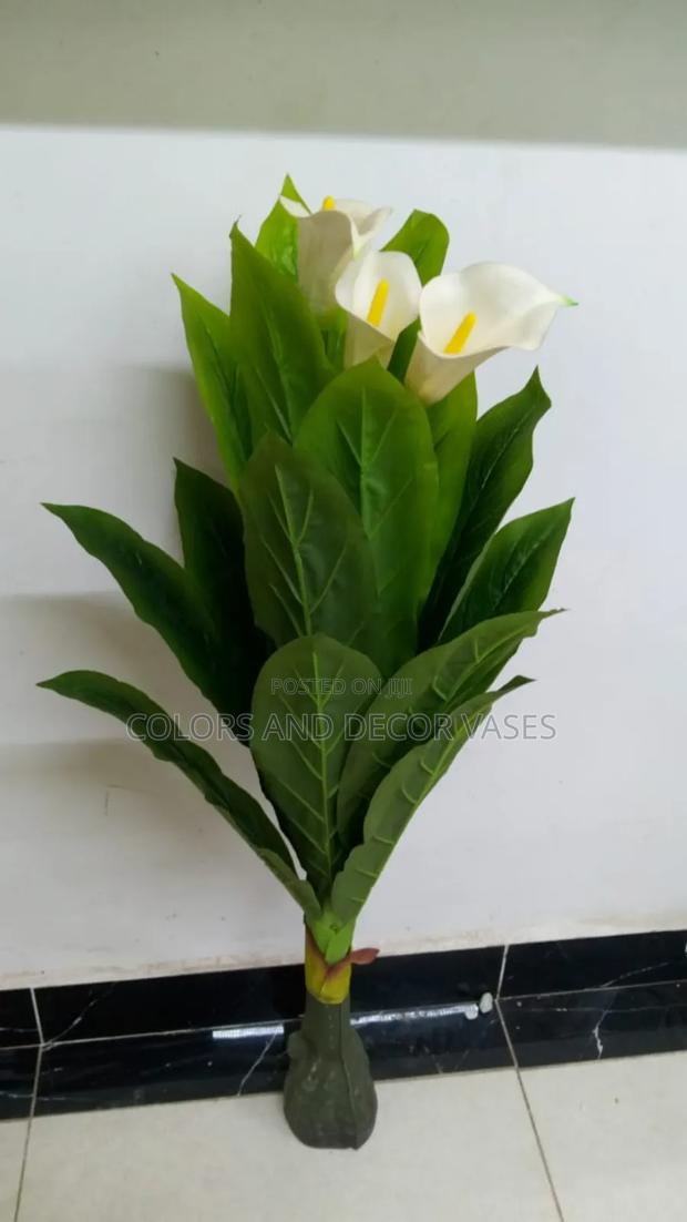 White Flowered Plant Without Vase Available - main view