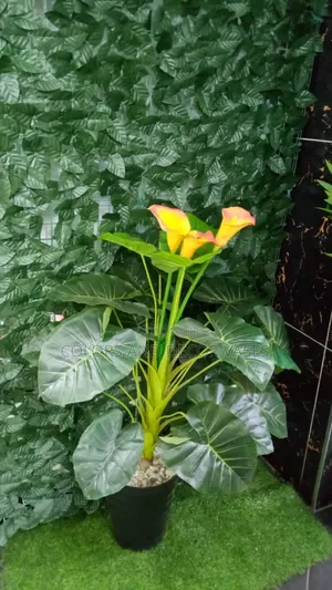 Flowered Plant With Vase and Decorative Stones