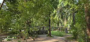 Second Row From the Beach, 1 Acre Plot on Sale in Kikambala