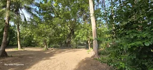 Second Row From the Beach, 1 Acre Plot on Sale in Kikambala
