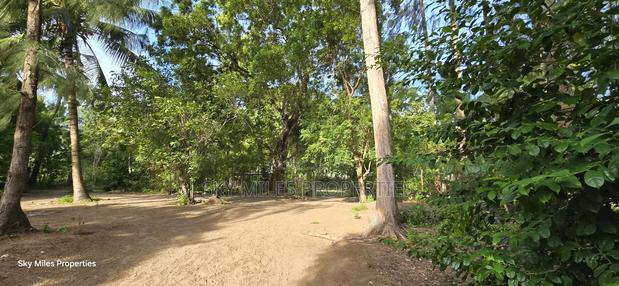 Second Row From the Beach, 1 Acre Plot on Sale in Kikambala - thumbnail 6