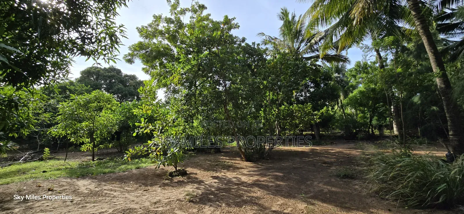 Second Row From the Beach, 1 Acre Plot on Sale in Kikambala