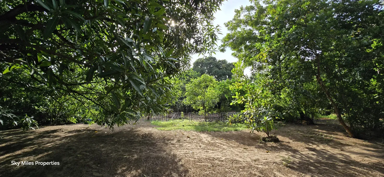 Second Row From the Beach, 1 Acre Plot on Sale in Kikambala