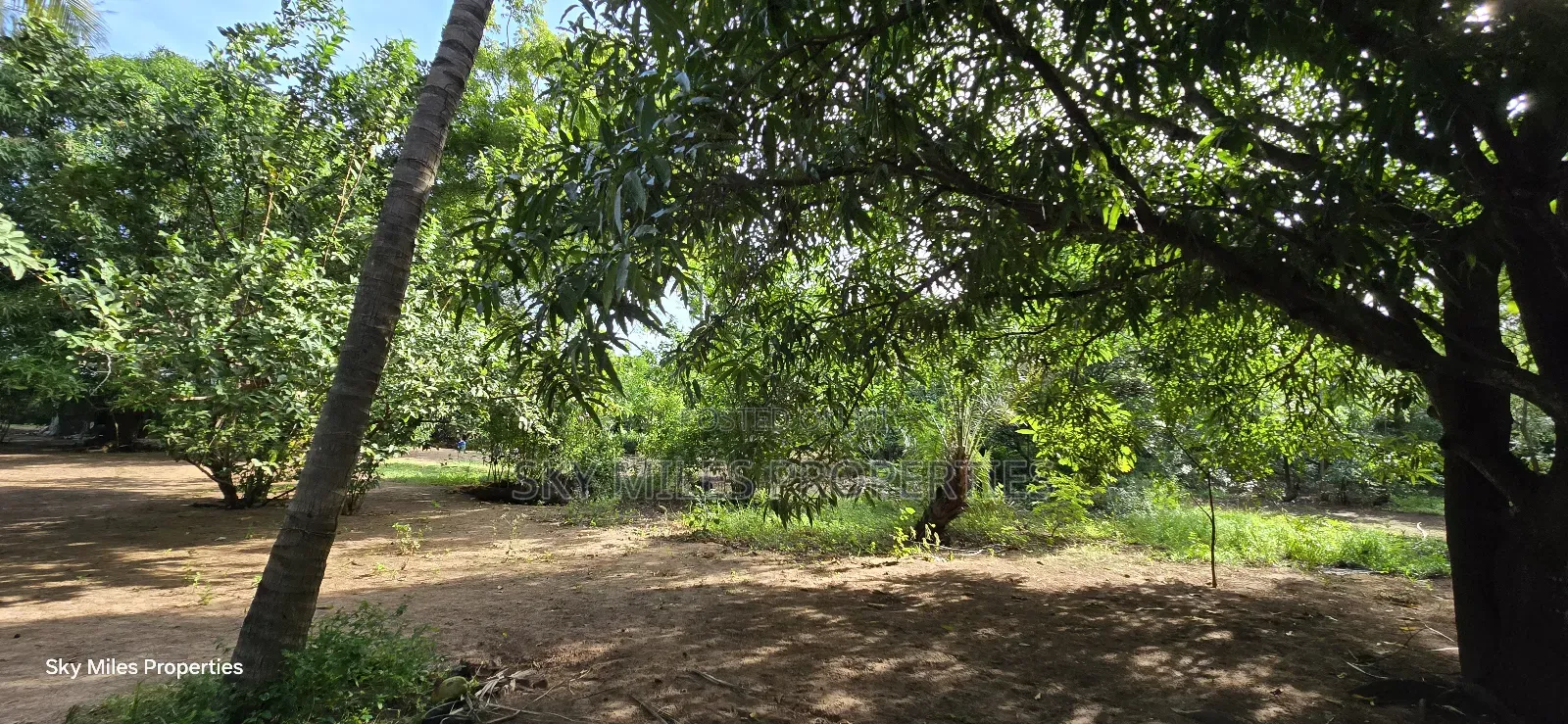 Second Row From the Beach, 1 Acre Plot on Sale in Kikambala