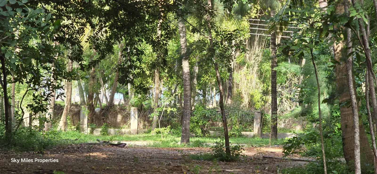 Second Row From the Beach, 1 Acre Plot on Sale in Kikambala
