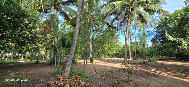Second Row From the Beach, 1 Acre Plot on Sale in Kikambala - thumbnail 11