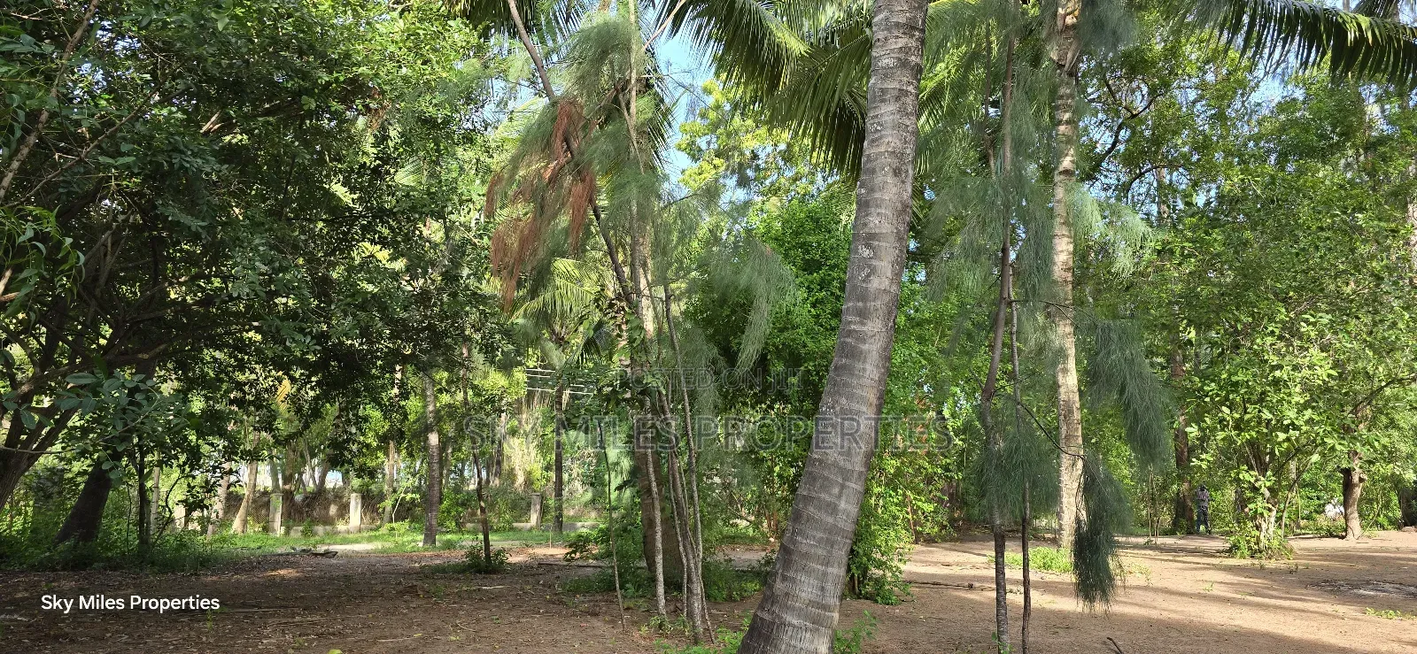 Second Row From the Beach, 1 Acre Plot on Sale in Kikambala
