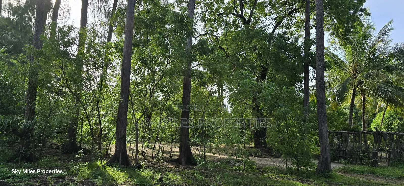 Second Row From the Beach, 1 Acre Plot on Sale in Kikambala