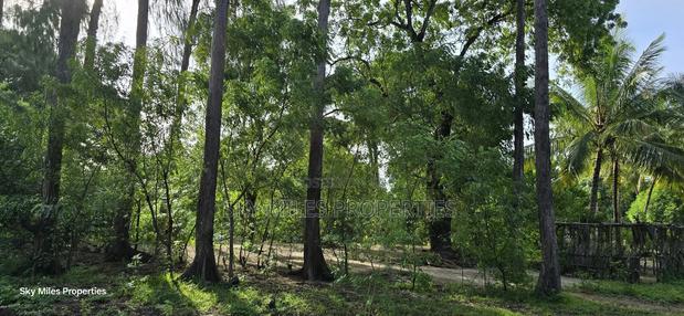 Second Row From the Beach, 1 Acre Plot on Sale in Kikambala - thumbnail 14