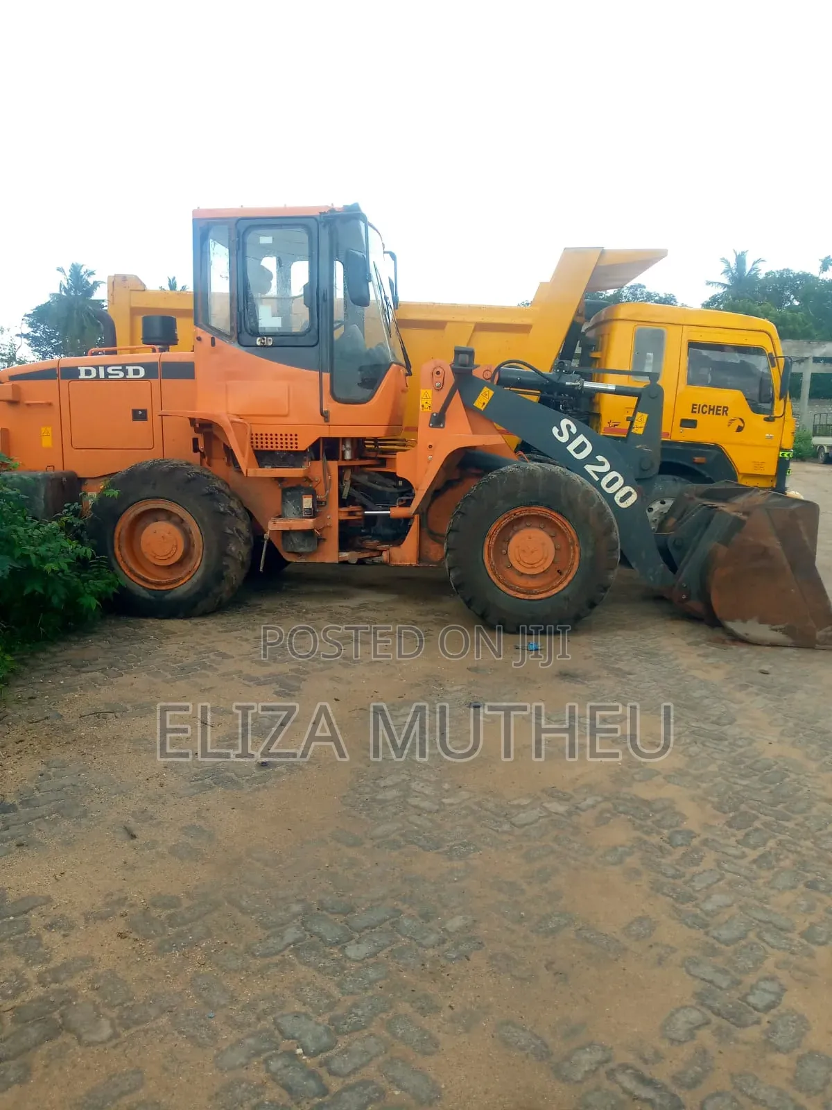 Excavators and Shovel Machines for Hire