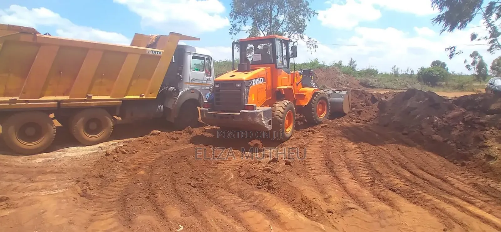 Excavators and Shovel Machines for Hire