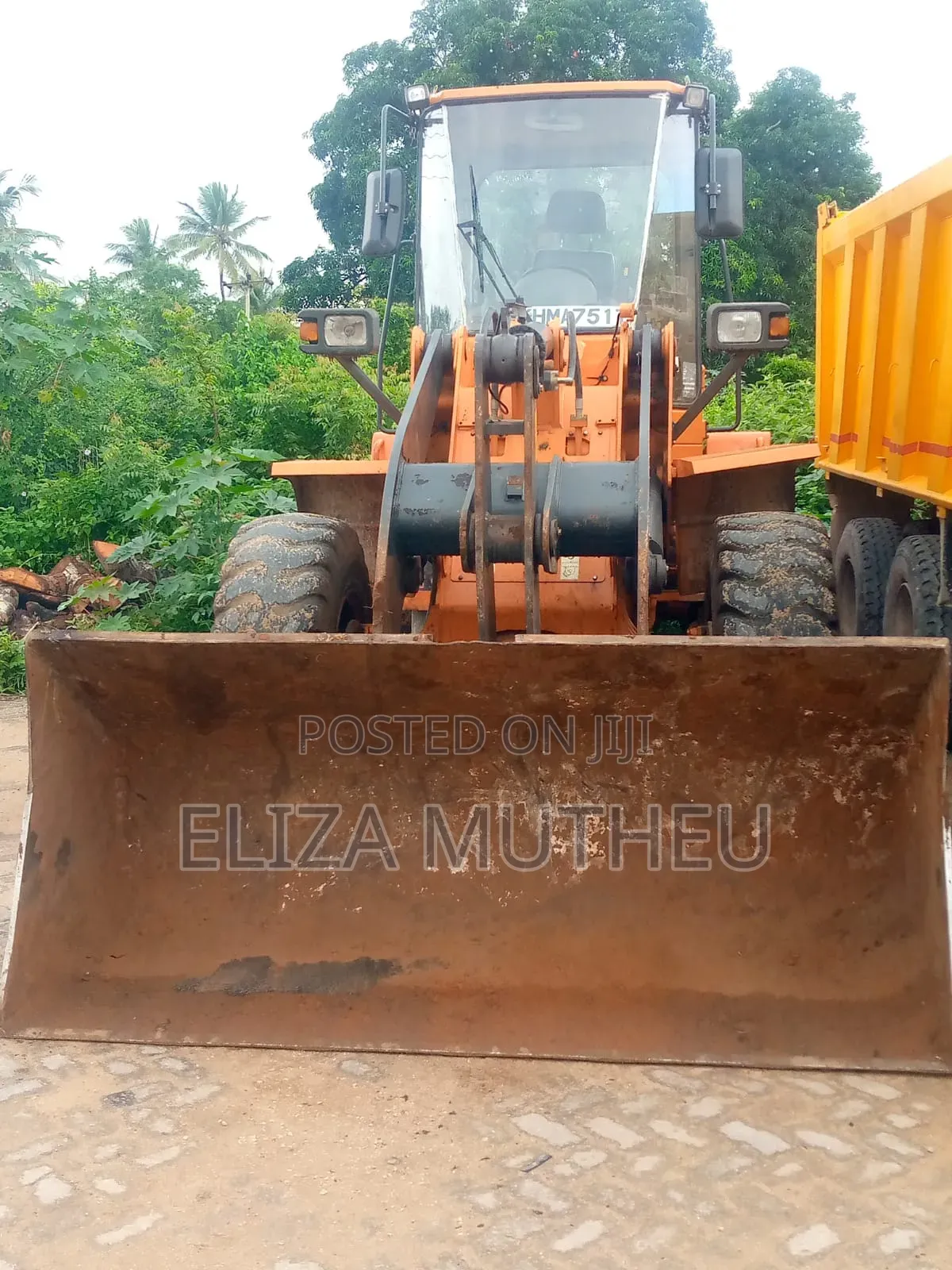 Excavators and Shovel Machines for Hire