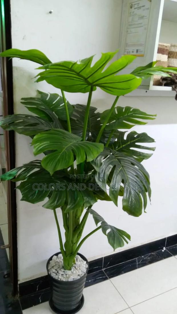 Monstera 1.6m With Vase and Pebble Stones KSH 7500 - main view