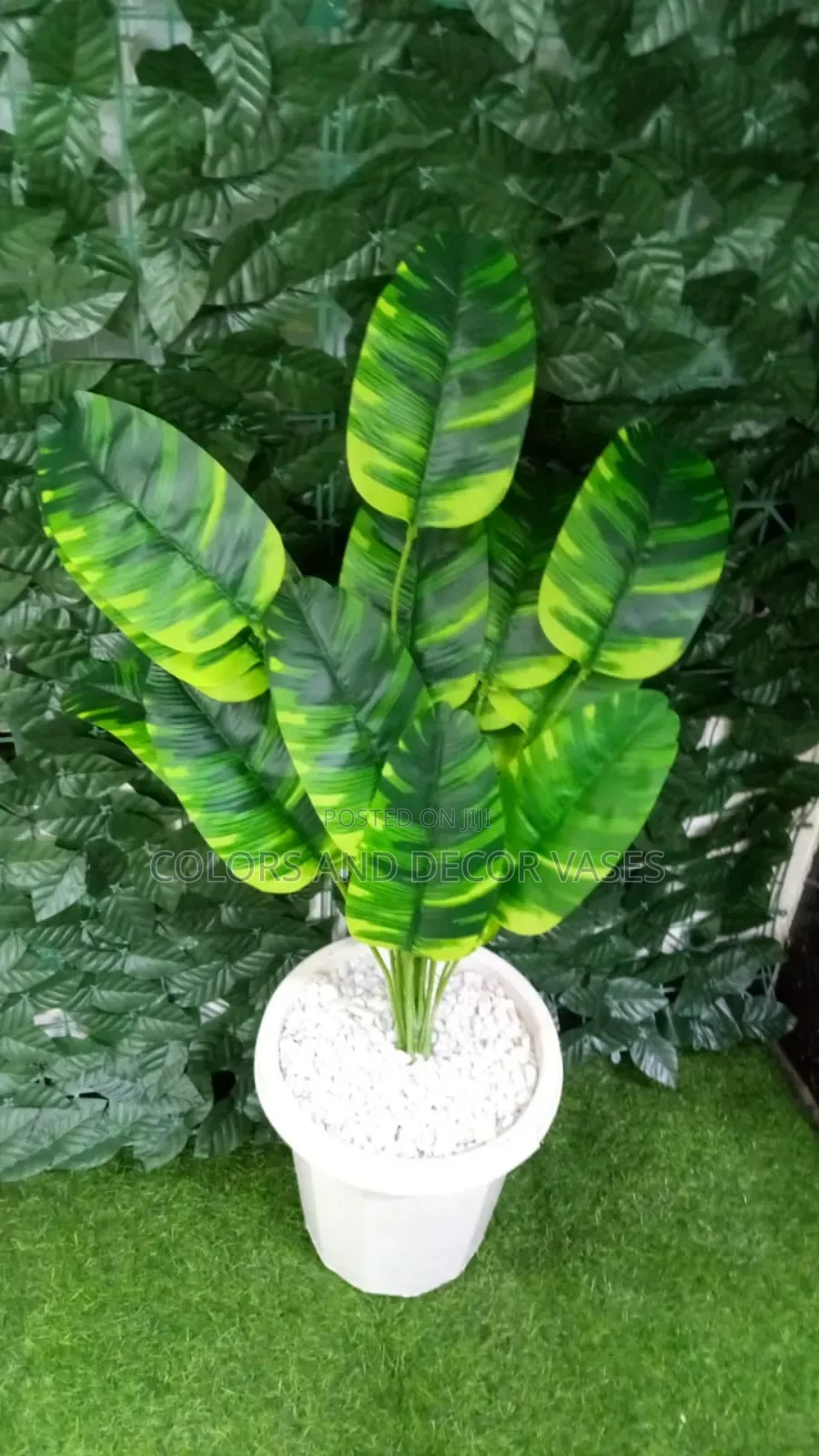 Plant, Vase White With White Stones Decorative