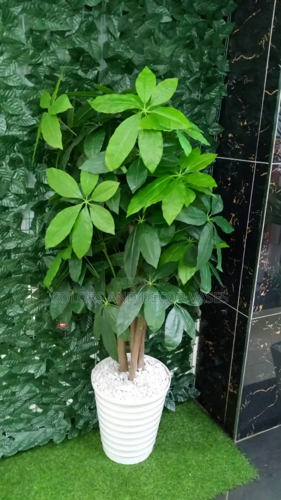 Avacado/Mango Plant Artificial Home Decor Plant