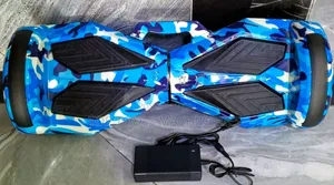 Rechargable Hoover Board
