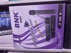 Mic BNK B2P