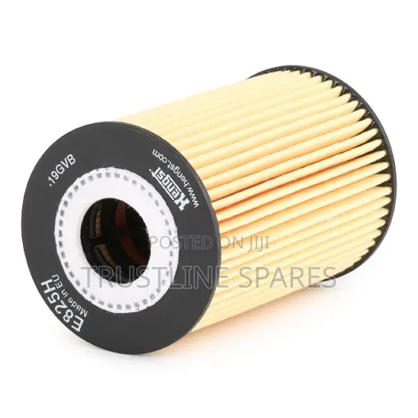 BMW Series 3,5, Oil Filter- Hengst - E825H D265